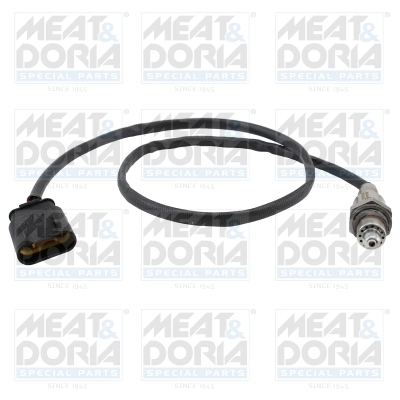 Oxygen Sensor